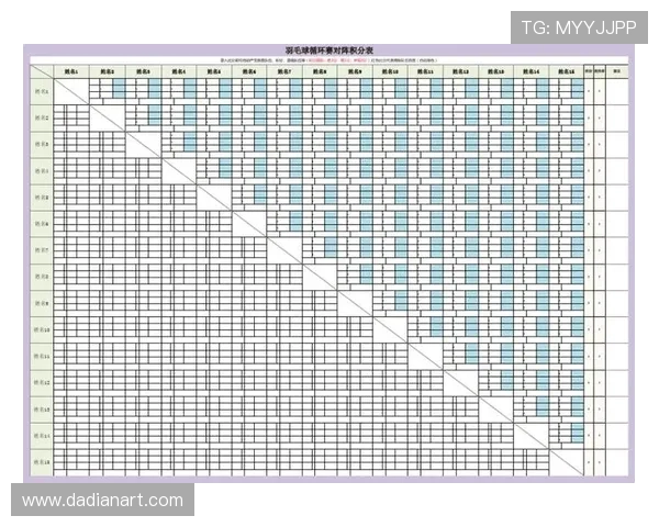成都羽毛球队配合技巧深度解析与其他球队的对比分析